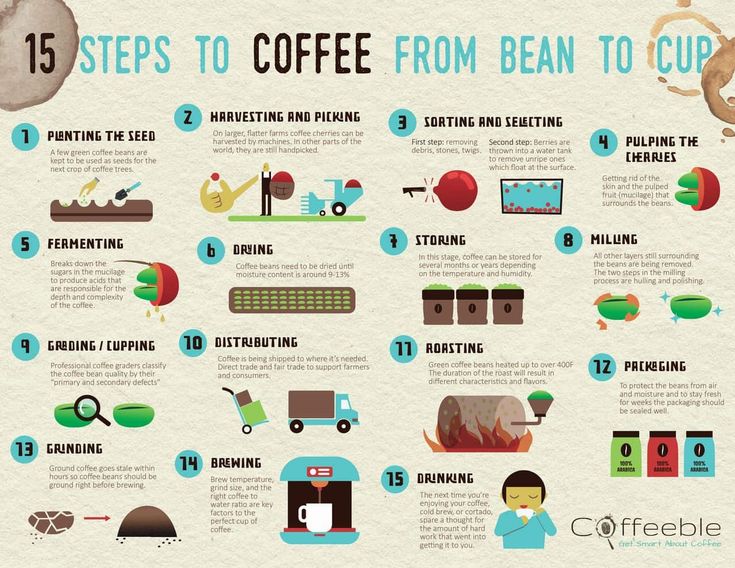 Pinterest Infographic: 15 Steps to Coffee from Beans. As a mans to understanding Coffee Consumption and Production.